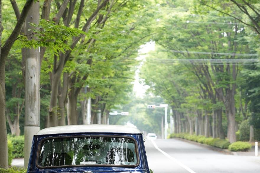 Rover Mini Cooper（1998年式） ネオクラシック中古車｜Young Timers Club.